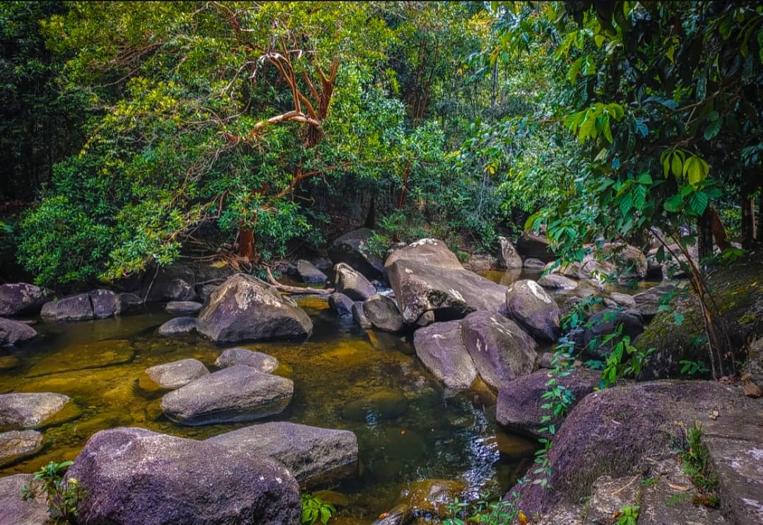 Batu Mentas Belitung: Surga Alam Tersembunyi di Tengah Hutan Tropis